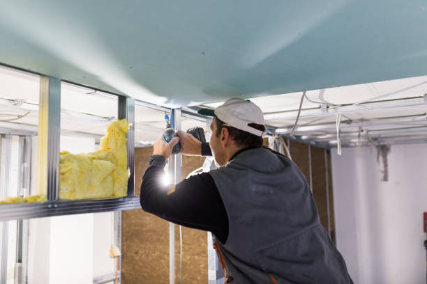 Best Commercial Insulation Contractor  in Bells, TX