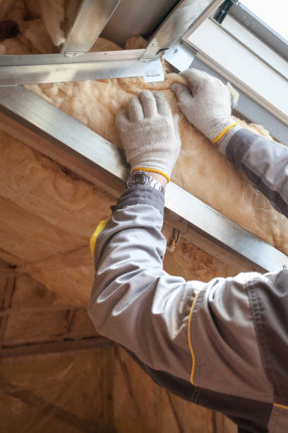 Best Spray Foam Insulation  in Bells, TX