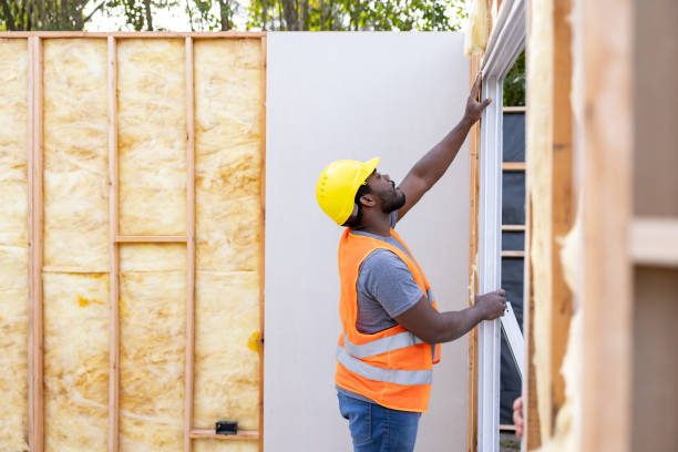 Best Cellulose Insulation  in Bells, TX