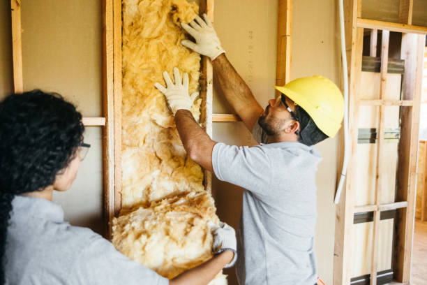 Best Insulation Inspection Services  in Bells, TX