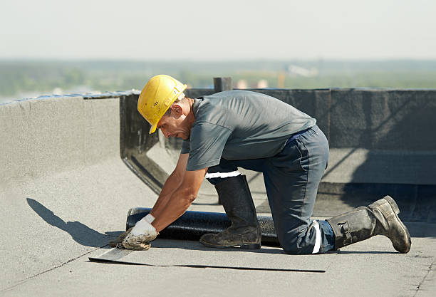 Best Affordable Insulation Services  in Bells, TX
