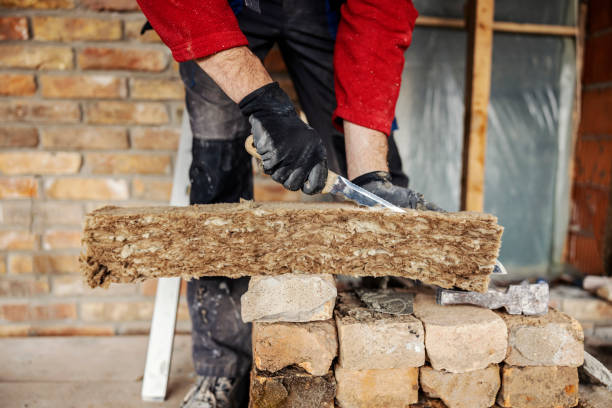 Best Insulation Replacement Services  in Bells, TX