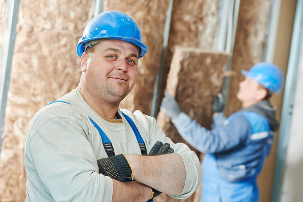 Best Energy-efficient Insulation  in Bells, TX
