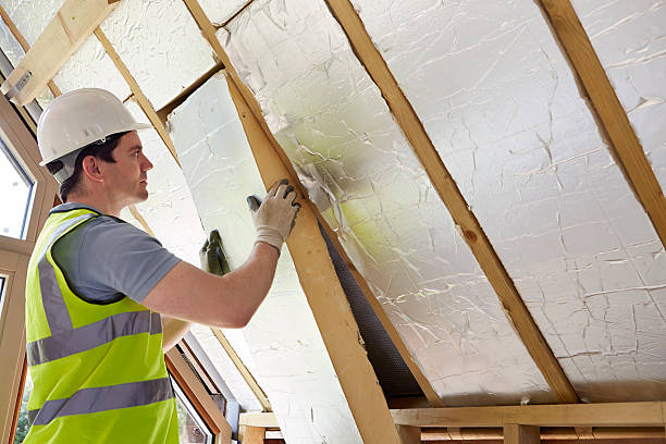 Best Insulation for New Construction  in Bells, TX